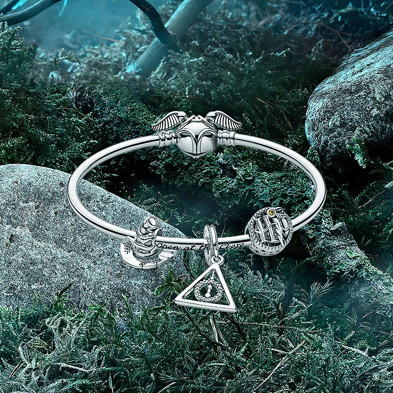 “Magia in Miniatura – Charm Ufficiale Harry Potter in Argento 925