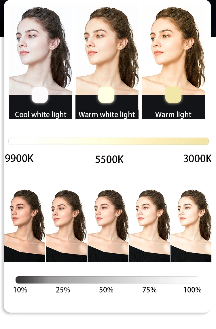 Luce portatile a LED per selfie, per videocamera per telefono o macchina fotografica da usare per videoregistrazioni su TikTok o altri canali, video per trucco e tanto altro.